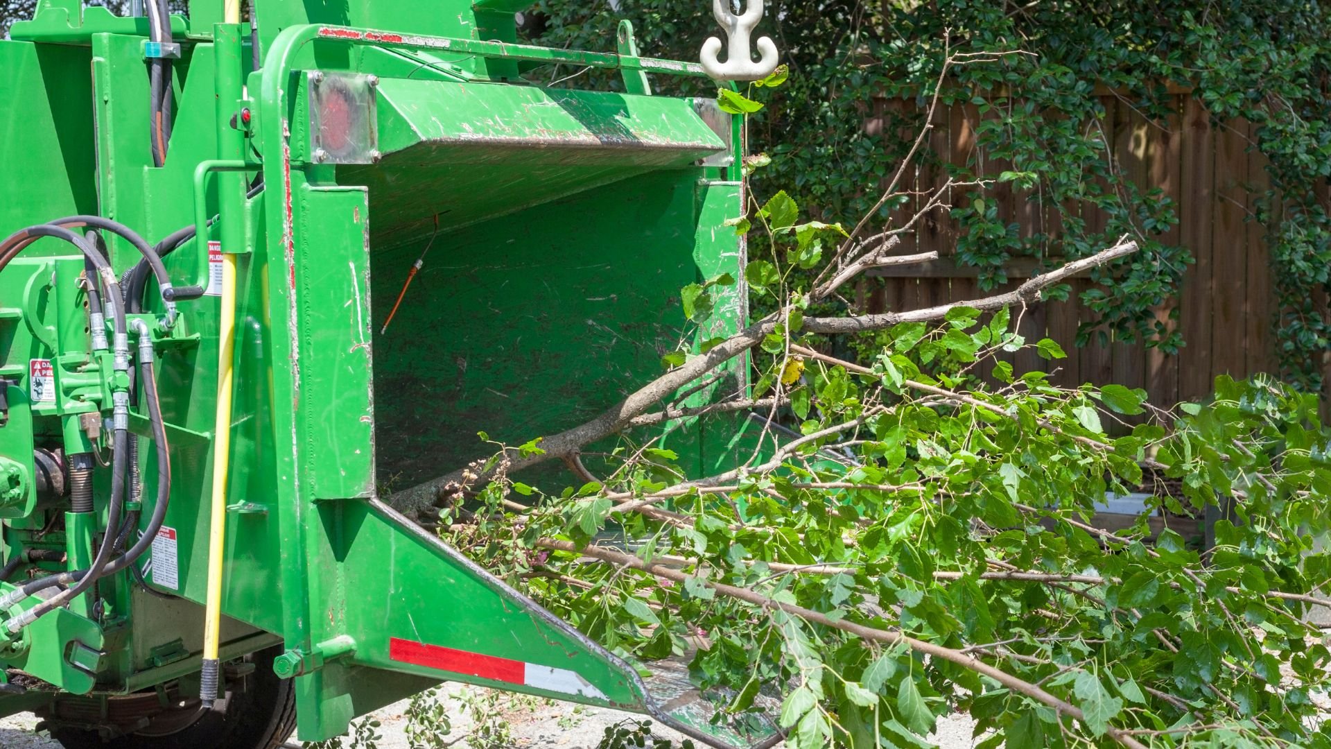 Green wood chipper processing tree branches in a backyard