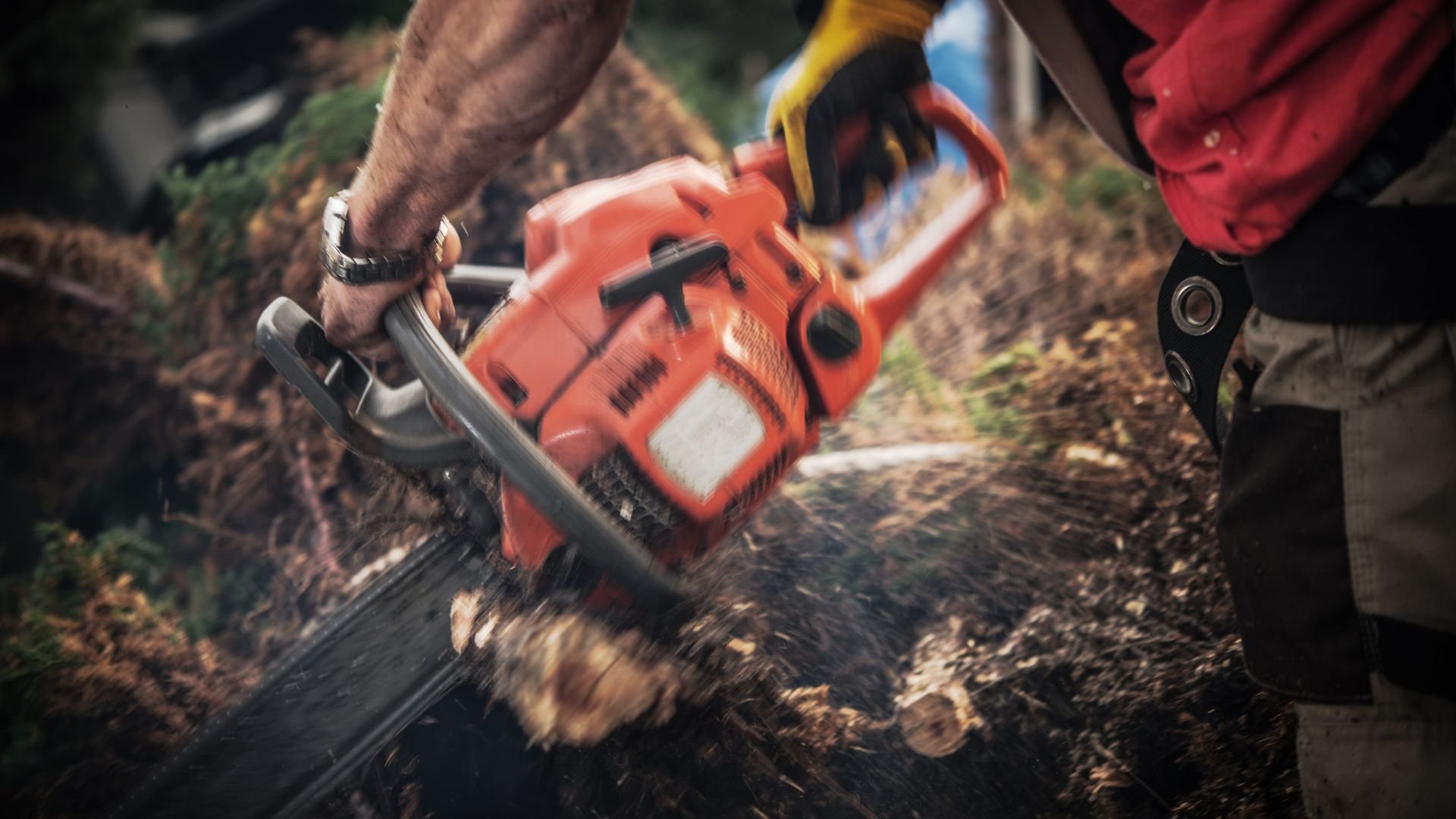 Red chainsaw cutting through wood log with hands operating it