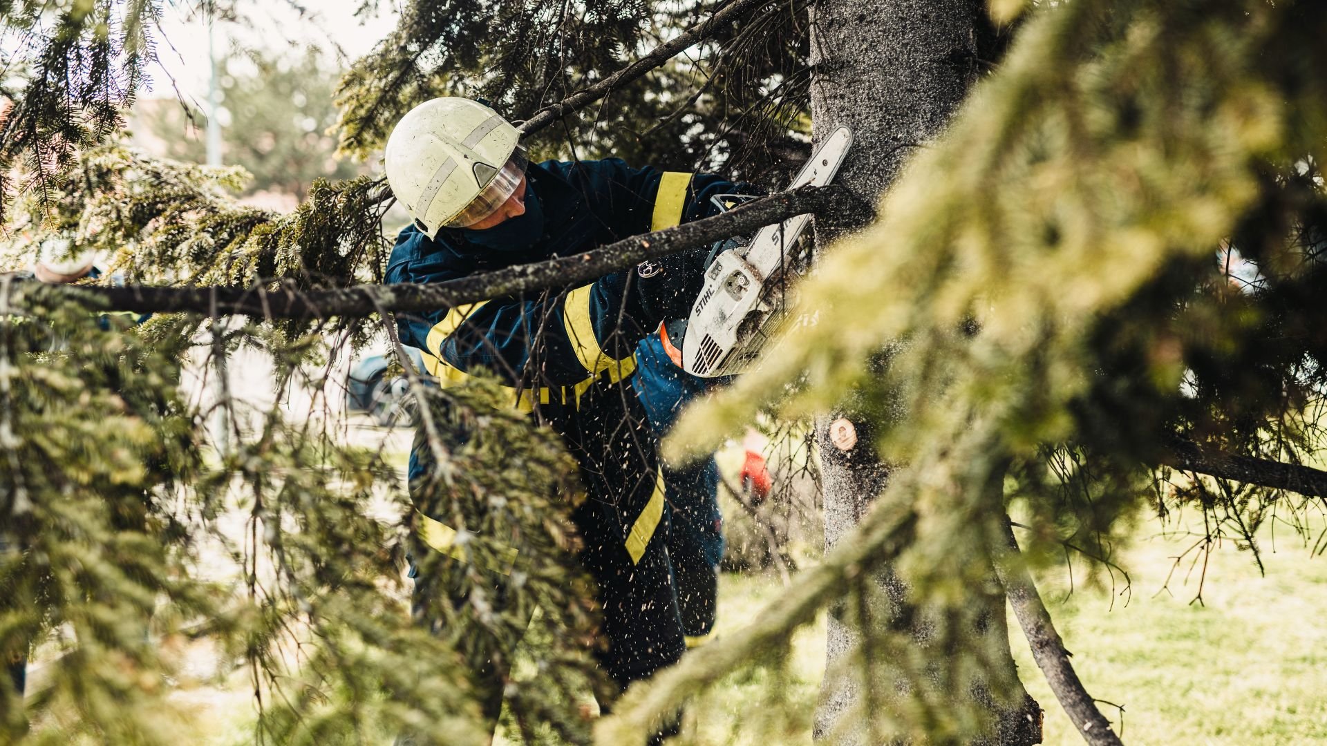 Arborist in safety gear cutting tree branch with chainsaw